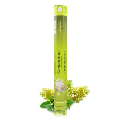 Osmanthus 50.jpg