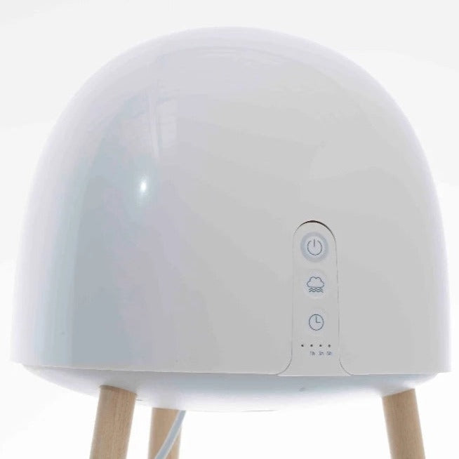 air humidifier.jpg