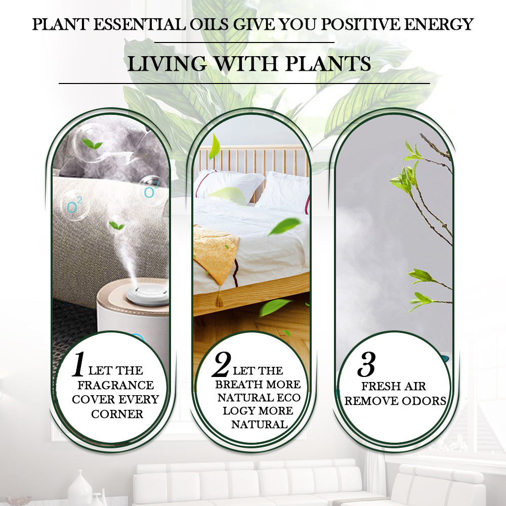 essential oil for aroma diffuser.jpg