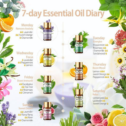 product image 1734705477.jpg