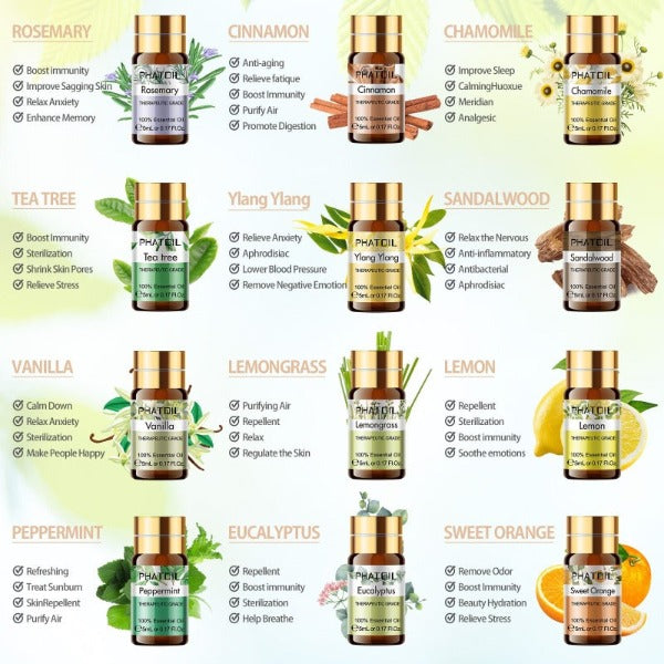 product image 1734705480.jpg