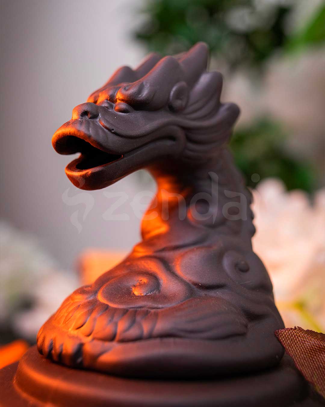 zbreathingdragon2.jpg