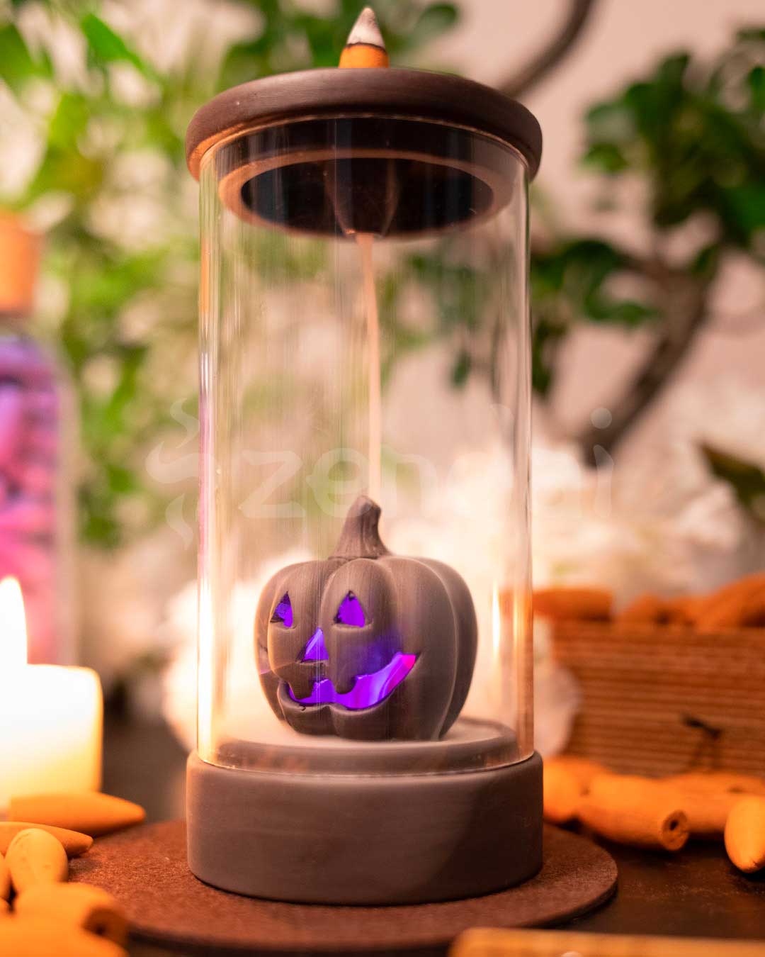 zpumpkin5.jpg
