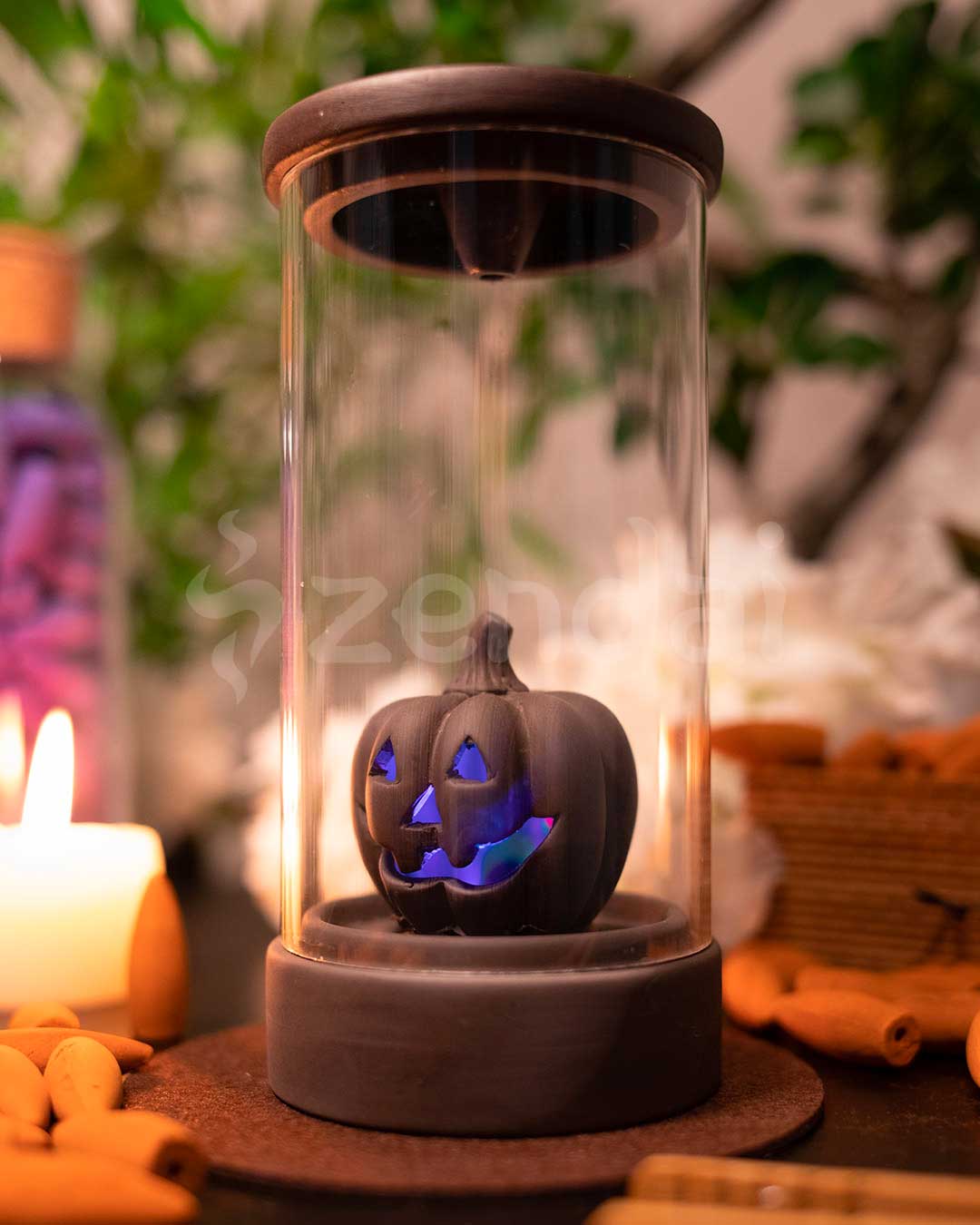 zpumpkin6.jpg