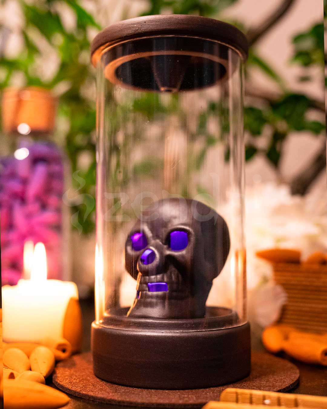 zskull3.jpg